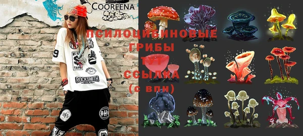 мдма Михайловск