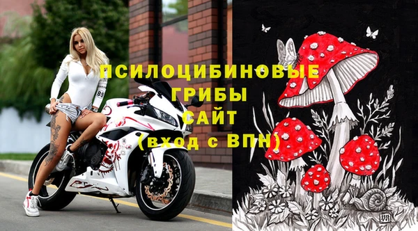 мяу мяу мука Медногорск