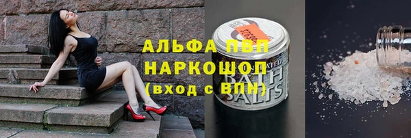 молекула духа Верхний Тагил