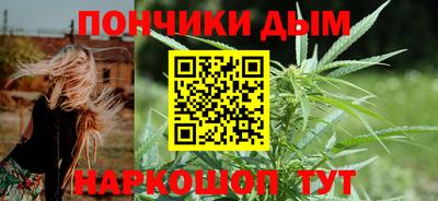 шишки Гусиноозёрск