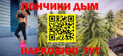 шишки Гусиноозёрск