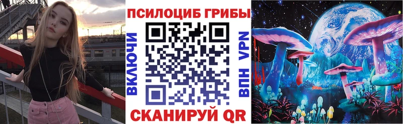Псилоцибиновые грибы мухоморы  где купить наркоту  Салават 