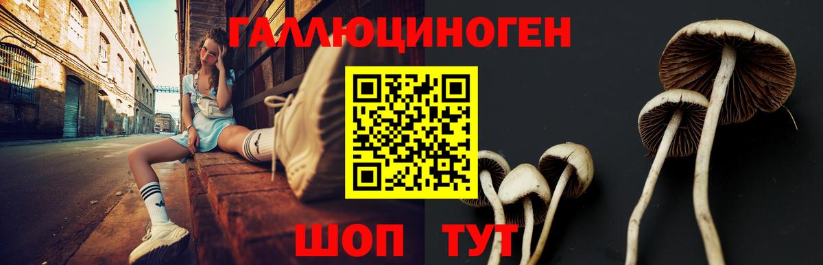 Салават  Псилоцибиновые грибы Cubensis  Галлюциногенные грибы Magic Shrooms  Вход с VPN 